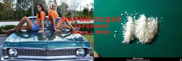стаф Верея