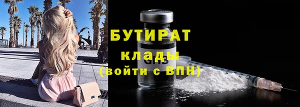 прущие грибы Бронницы