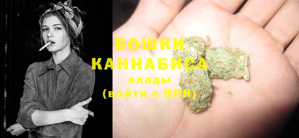 прущие грибы Бронницы