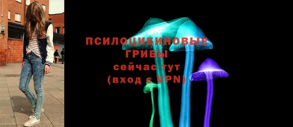 эйфоретик Нея