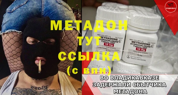 прущие грибы Бронницы