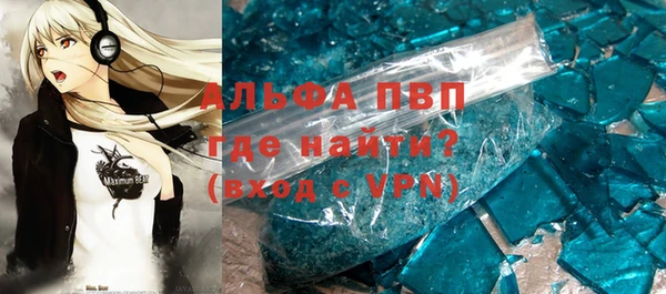стаф Верея