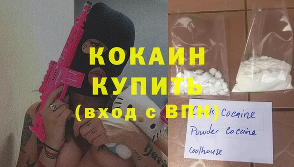 прущие грибы Бронницы