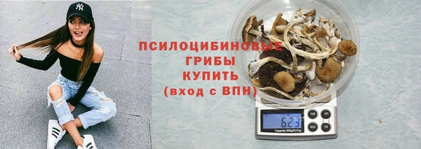 прущая мука Бородино