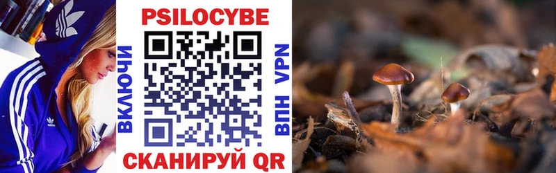 Псилоцибиновые грибы Psilocybine cubensis Навашино